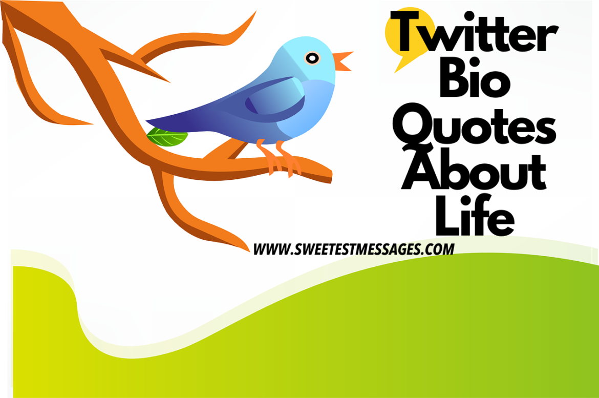 Twitter Bio Quotes About Life Twitter Bio Ideas Example Twitter Bio Quotes About Life