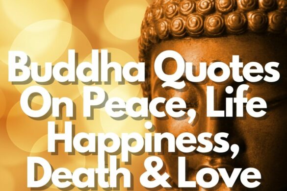 120 Peaceful Night Sleep Quotes - Sweetest Messages